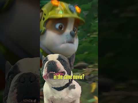 5bH7uafFzxg