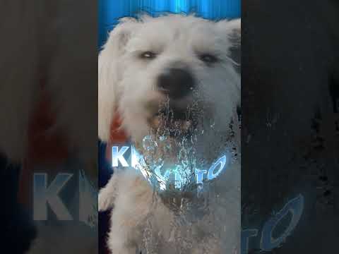 UzJ1xwyWjyQ