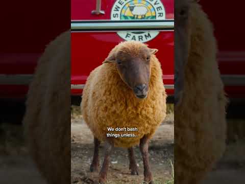 YakISXDlyzo