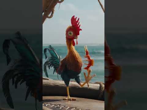 Zp8lSjkvU-E