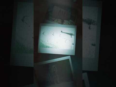 cB-4k33yFpk