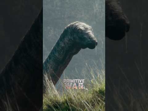qrzrc_-C1ik