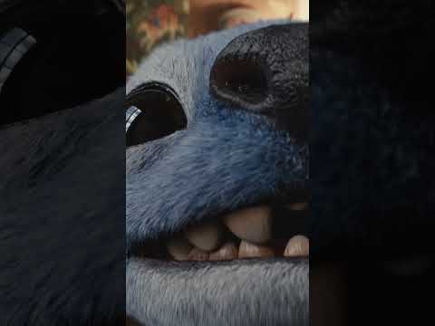 rHEeew-HsZ8