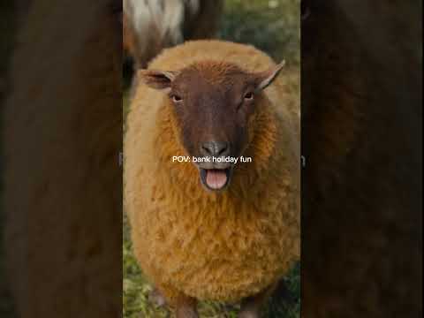 rOPyJP8z9_o